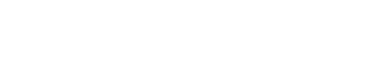 P43 Global